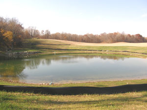 FISHING & AESTHETICS Pond 1.5 acre featured image