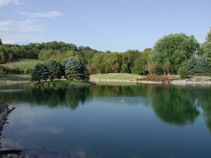 golf course pond