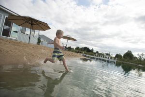 Backyard swim pond fun begins in the water