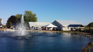 Backyard swim pond special event