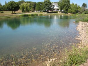 wisconsin pond