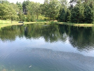 Fishing & Backyard Pond: 2/3 acre featured image