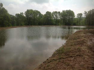 Pond Construction