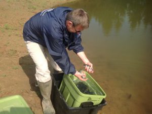 Fish Stocking