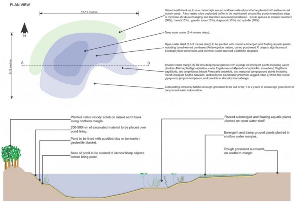 pond design