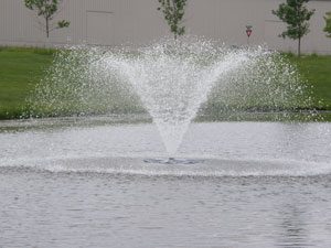 Pond Fountain