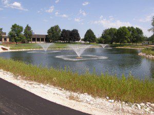 Pond Fountain