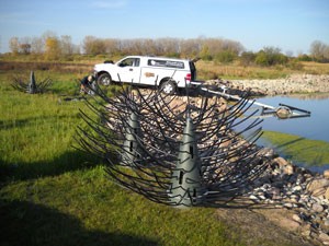 Fish Habitat