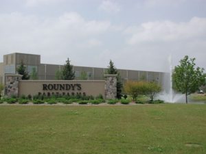 Pond Fountain