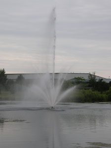 Pond Fountain