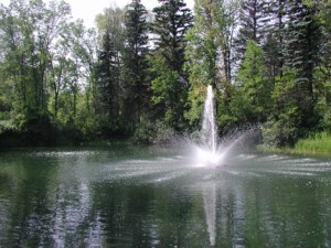 Pond Fountain