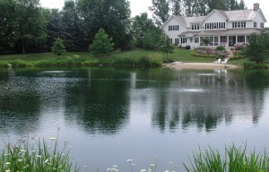 Swim Pond