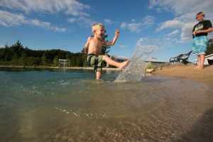 swim pond backyard family gatherings