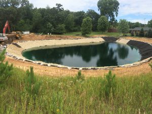 new pond construction