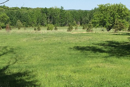 pond pre-construction