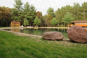 new pond