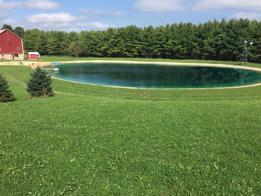 new pond, swim pond