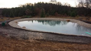 new pond construction
