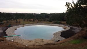 new pond, clear pond