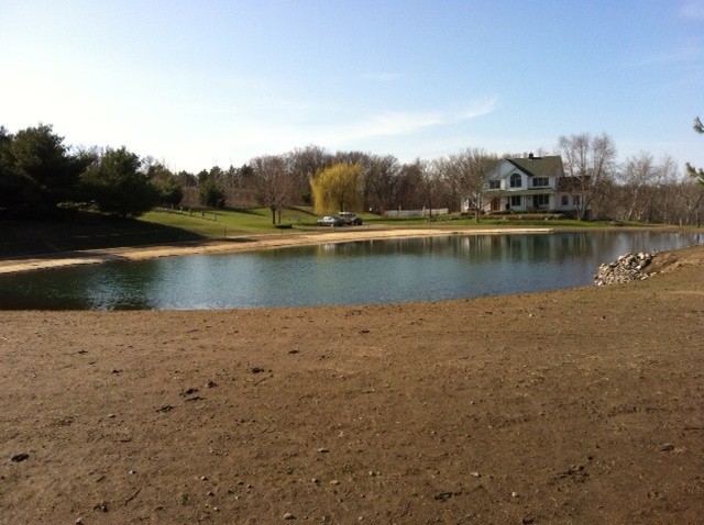 new pond