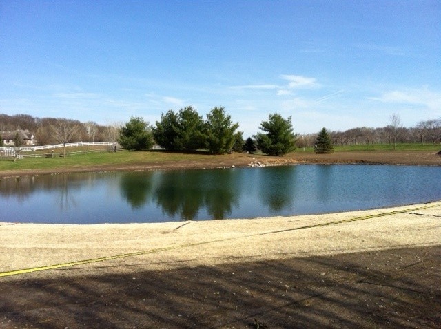 new pond