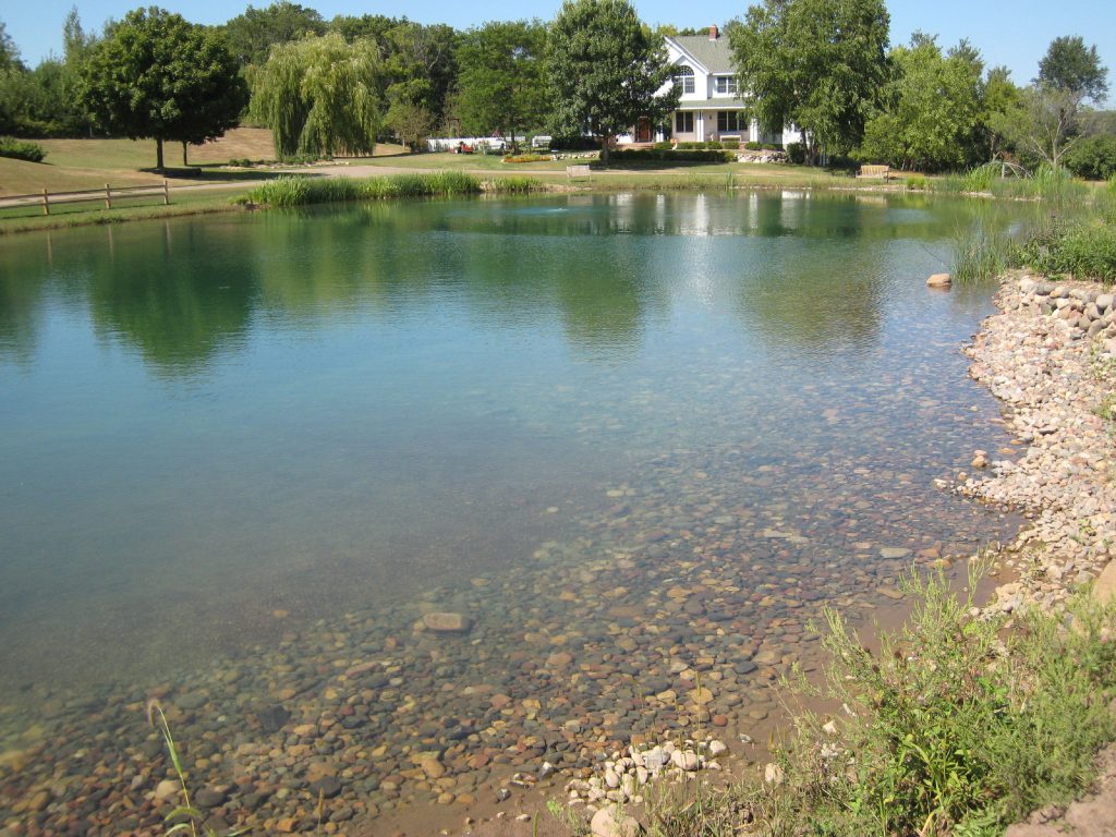 new pond