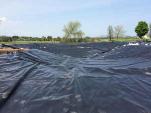pond liner install