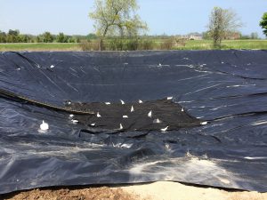 pond liner install