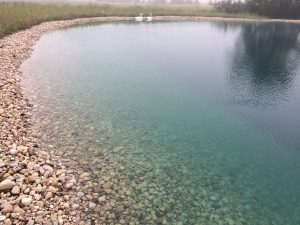 new pond
