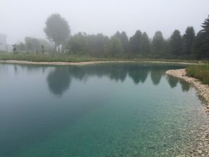 new pond