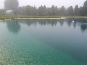 new pond, clear pond