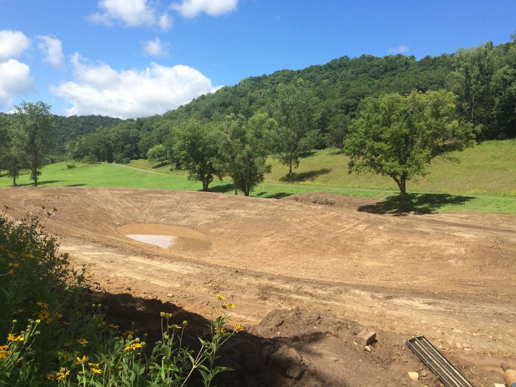 pond construction