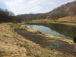 new pond