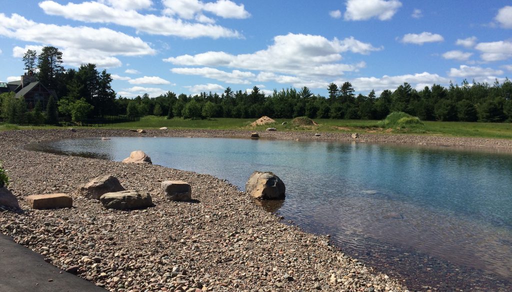 new wildlife pond project