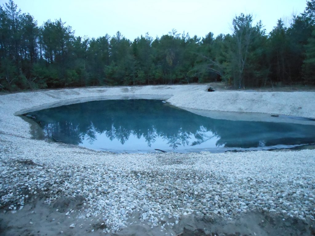 new pond