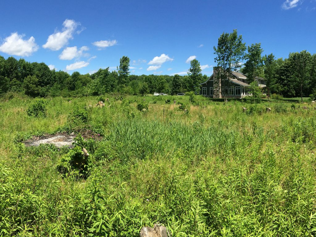 pond prospecting