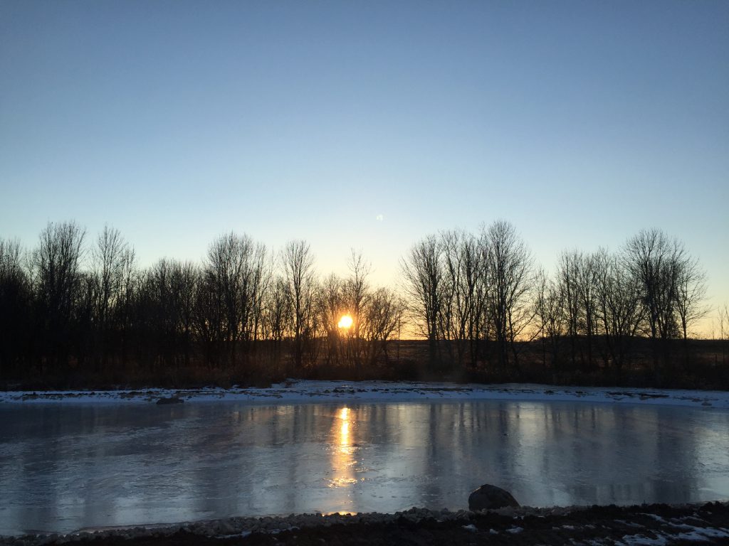 ice, pond