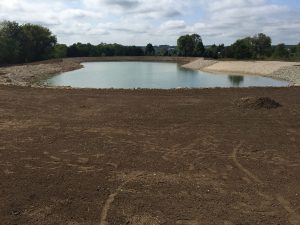 pond construction
