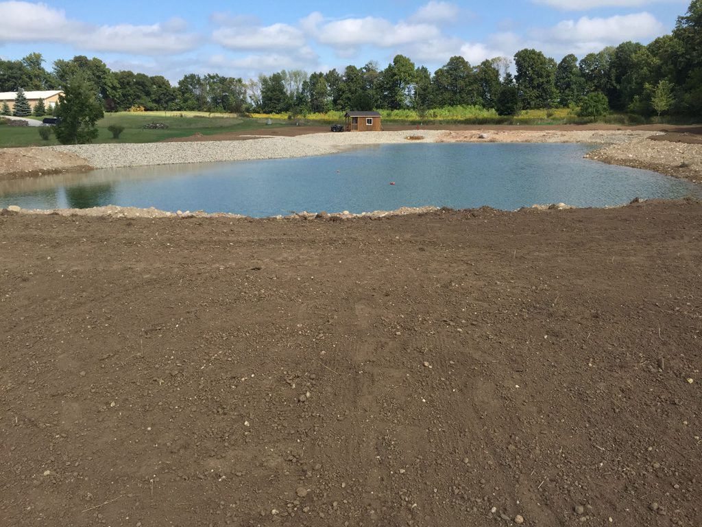 pond construction