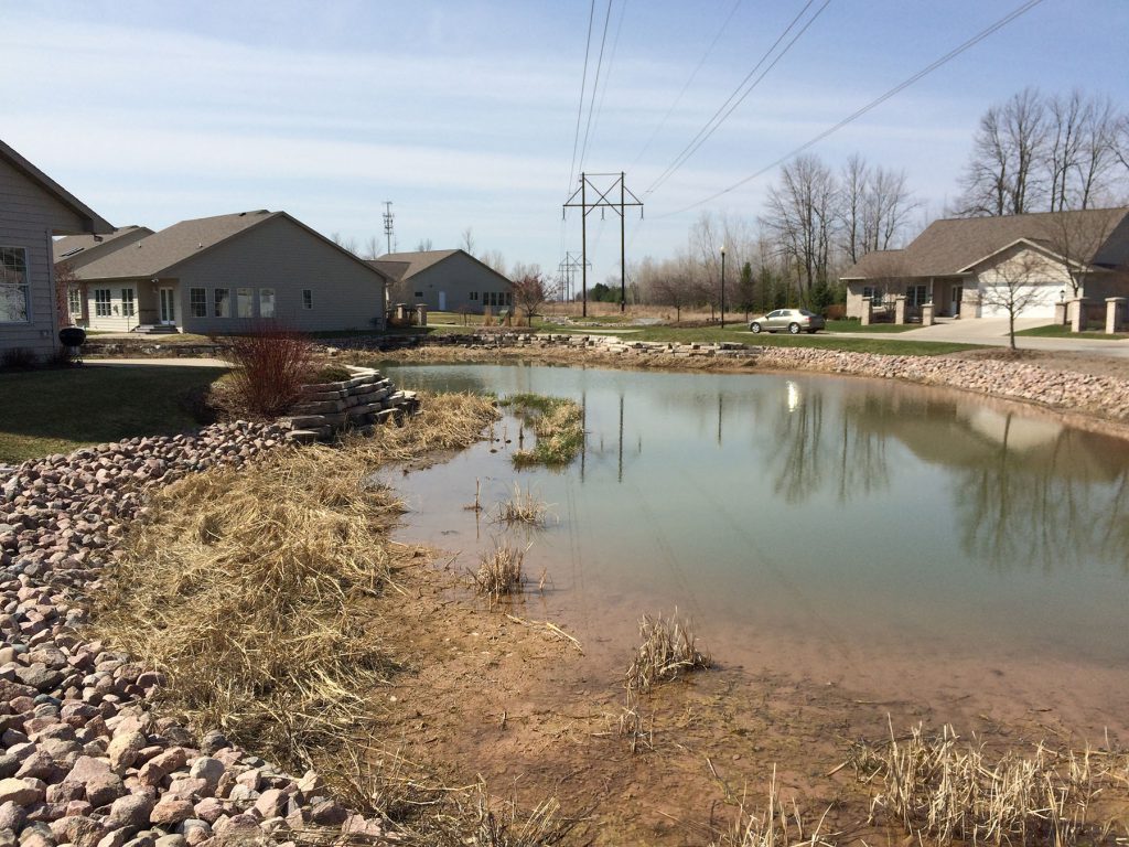 old pond, pre-construction