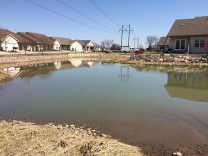 old pond, pre-construction