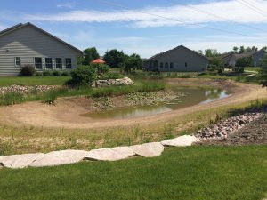 old pond