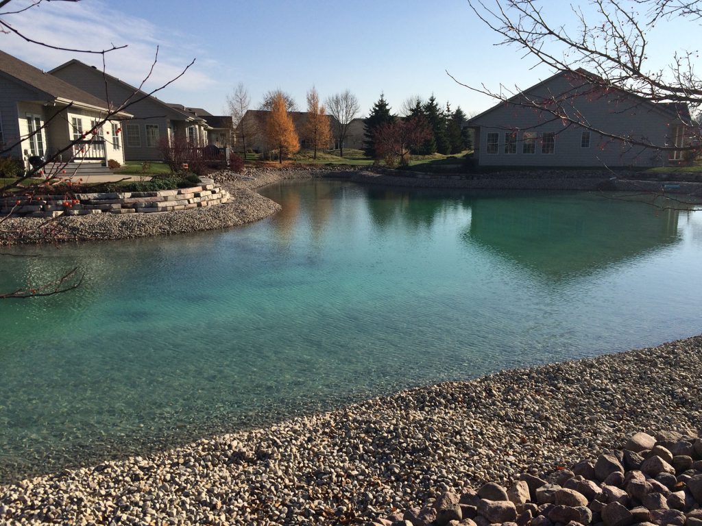 new pond, clear pond