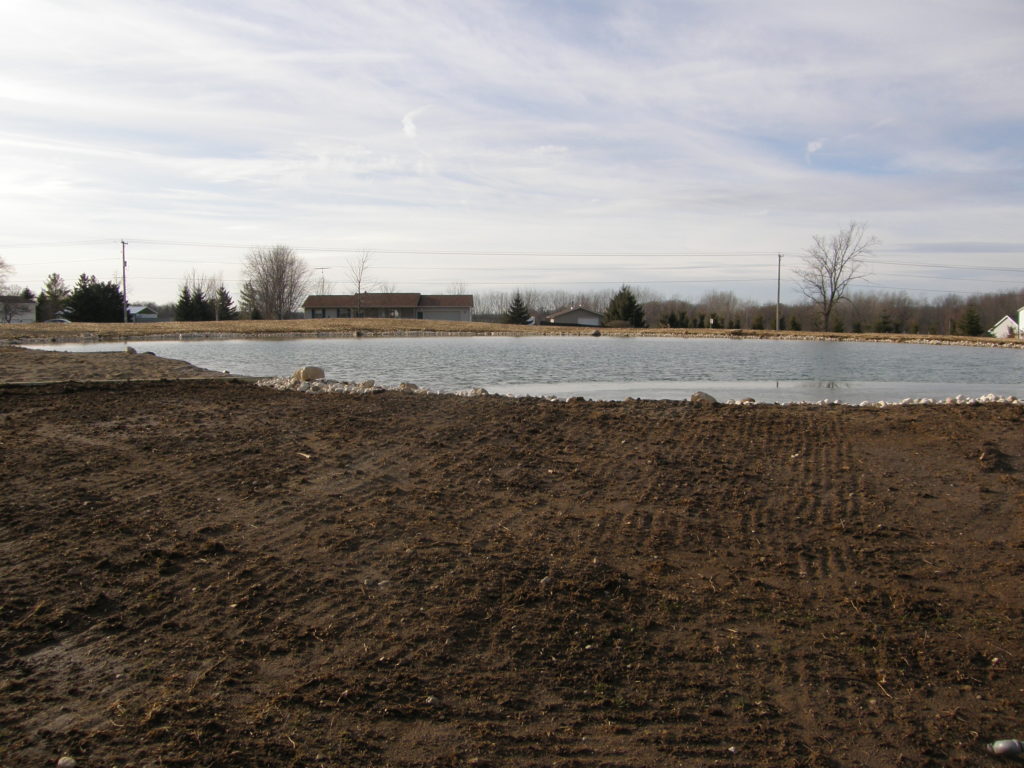 Backyard swim pond fill completed