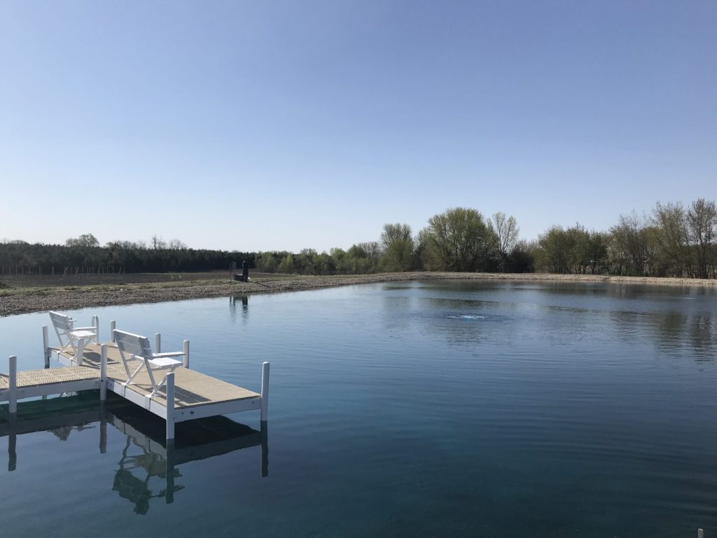 Francis Wisniewski dock overlooking pond