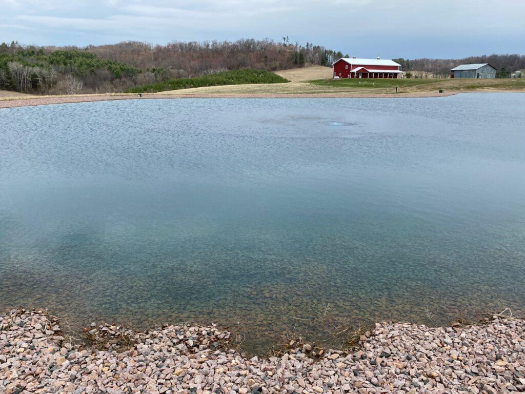 large backyard pond