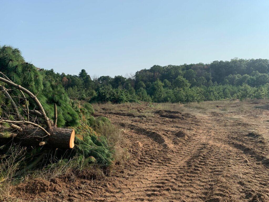 cleared field