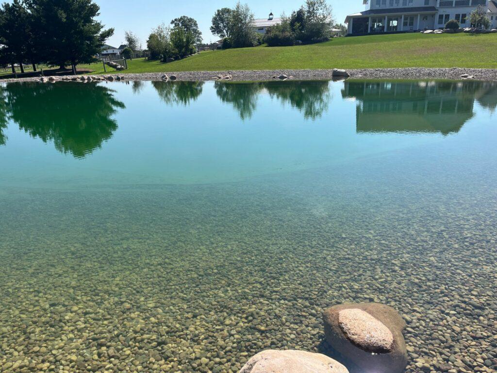 beautiful backyard hobby farm pond